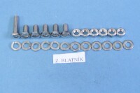 Set of screws for the entire motorcycle Pionýr 550 - polished stainless steel