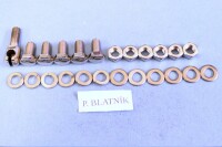 Set of screws for the entire motorcycle Pionýr 550 - polished stainless steel