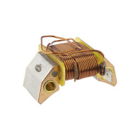 Light coil (pole) Pioneer with wire for stator 30W - EU