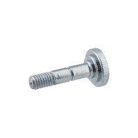 Screw for Pionýr 23 Mustang mailbox - zinc