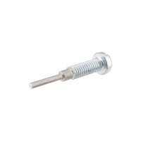 Carburetor idle screw BVF 16N1 - Simson