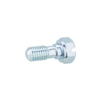Float chamber screw Pérák, ČZ150C