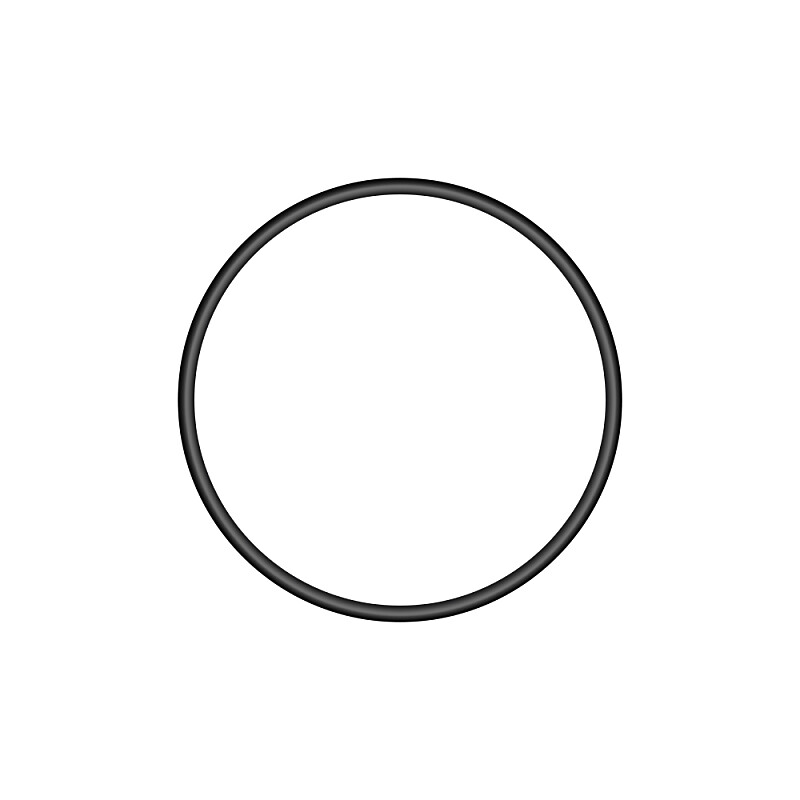 Ring 20x1.5 - Brake control shaft seal Stadion, Jawetta