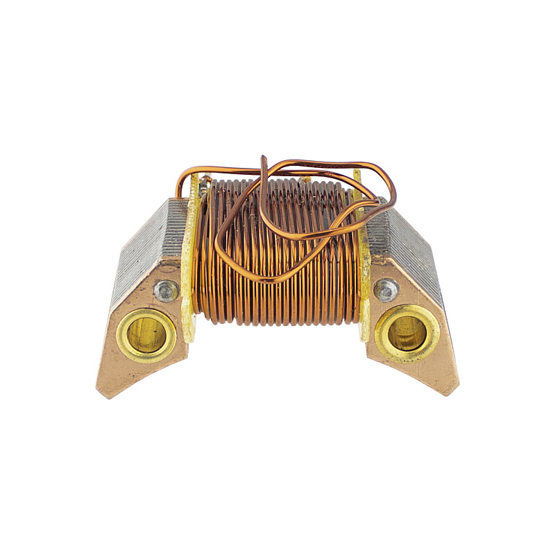 Light coil (pole) Pioneer with wire for stator 30W - EU