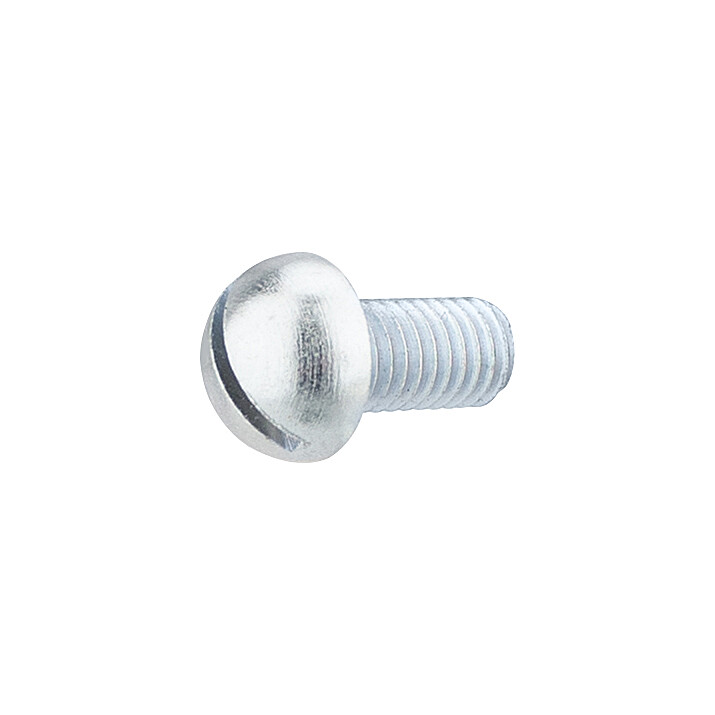 Screw M5x10 - round head - zinc