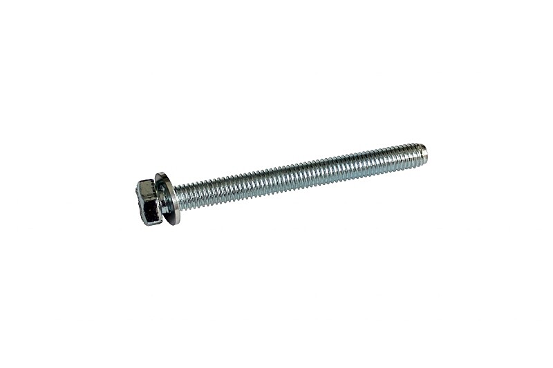 Ignition rotor screw - Pioneer 550,555