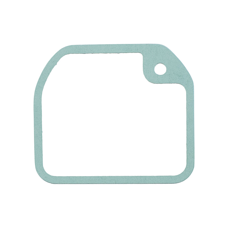 Simson float chamber seal - REINZ-AFM