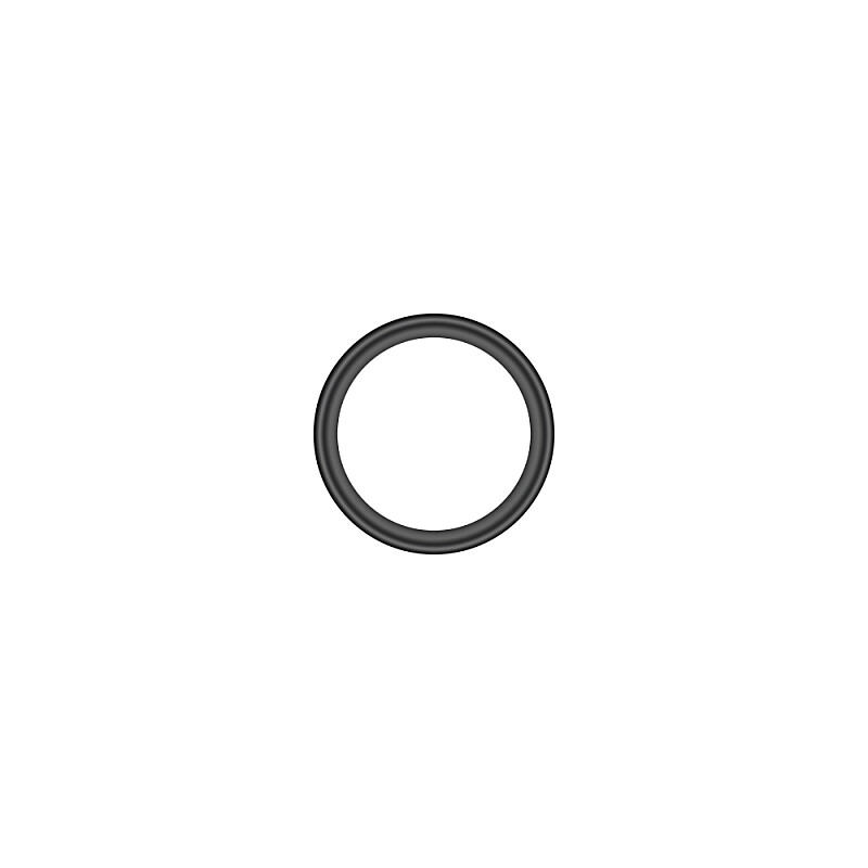 Rubber ring 10x2 mm