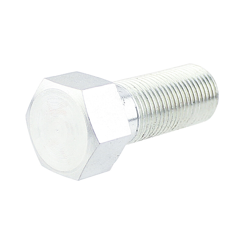 Swingarm bolt ČZ 501 - left