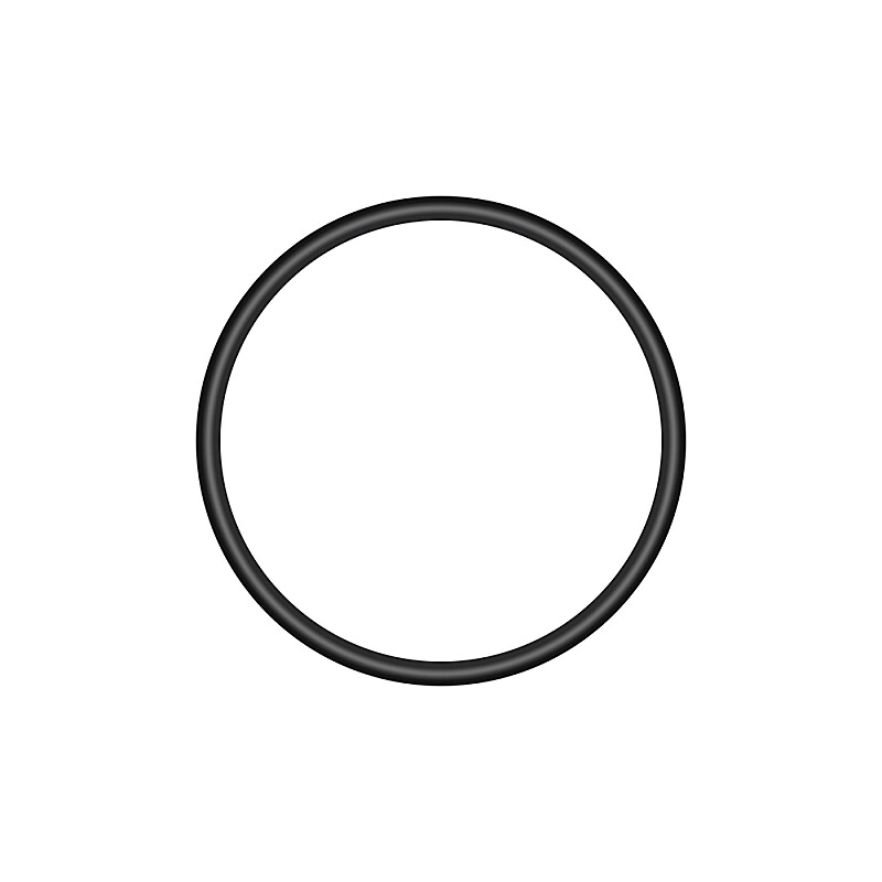 Ring 20x2