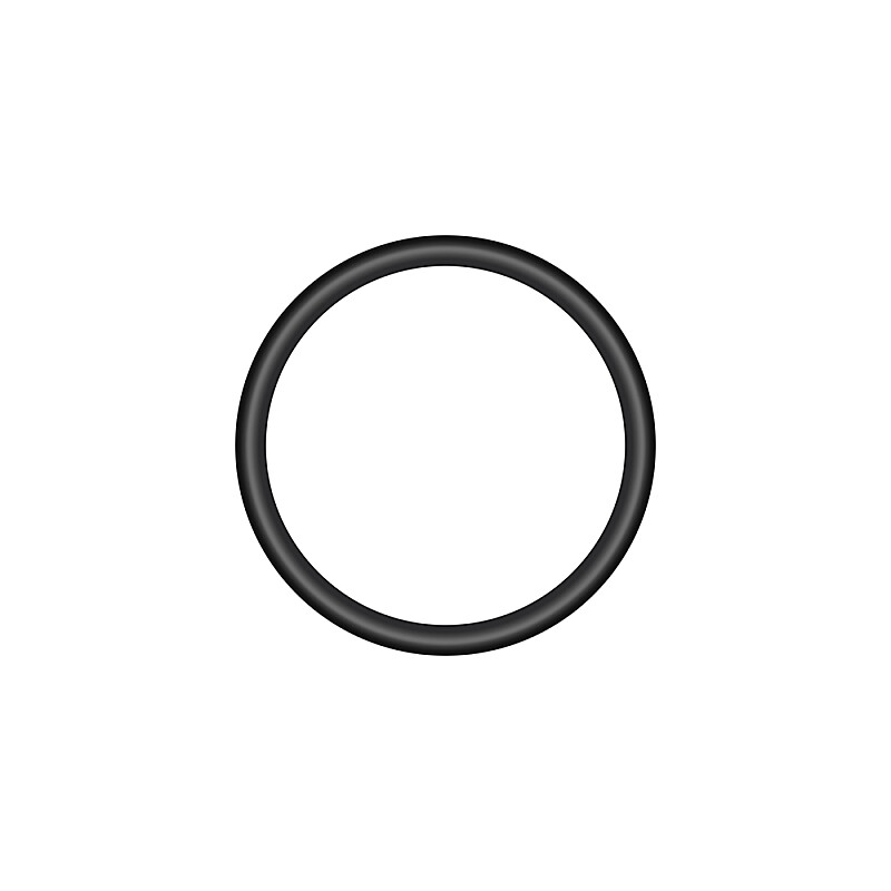 Ring 17x2.5