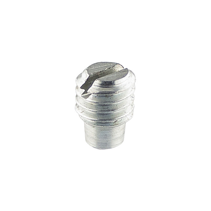 Worm with plug M6x6 - zinc