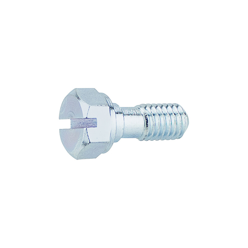 Float chamber screw Pérák, ČZ150C