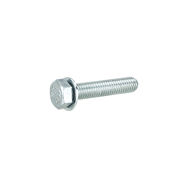 Ignition rotor screw - Babetta 207, 210, 225