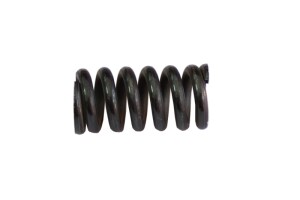 Clutch spring Pioneer 550, 555