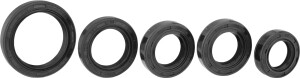 Babetta 207 oil seal set