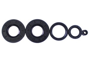 Set of oil seals CZ 476, 477