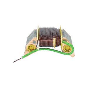 Light coil (pole) Pioneer with wire for stator 30W - TW