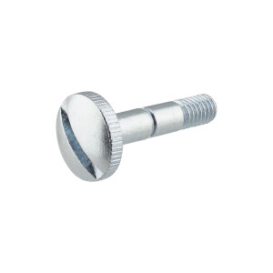 Screw for Pionýr 23 Mustang mailbox - zinc