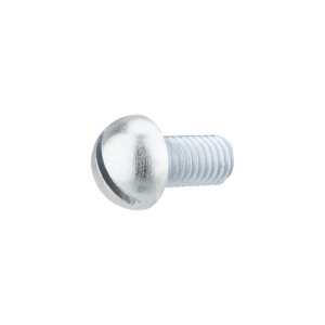 Screw M5x10 - round head - zinc