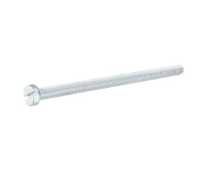 Screw M6x100