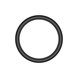 Ring 22x4