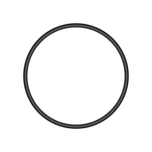 Ring 25x2