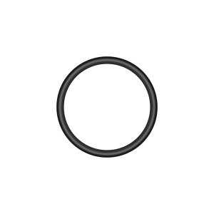 Ring 17x2.5