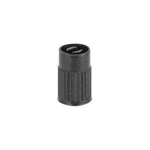 Plastic valve cap