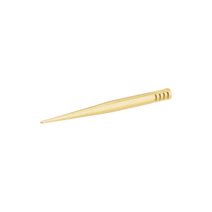 Pionýr valve needle