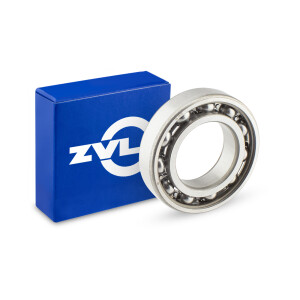Bearing 6005 C3 - ZVL